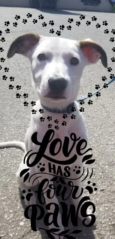 Adorable puppy with 'Love Has Four Paws' quote and paw prints overlay.