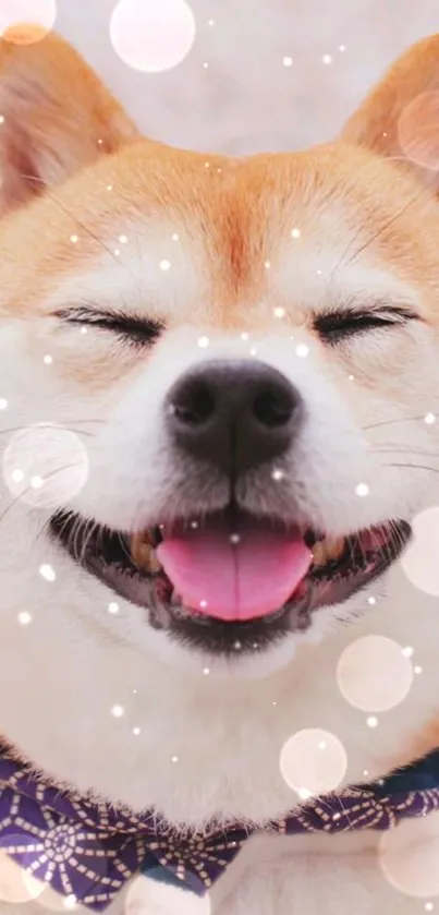 Smiling Shiba Inu with bokeh lights background, perfect for mobile wallpaper.