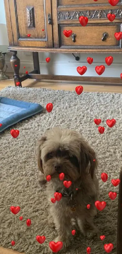 Adorable dog with red hearts in cozy home setting wallpaper.
