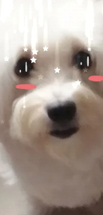 Cute fluffy dog with stars and blush effects on a white background.