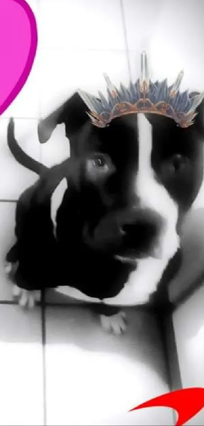 Black and white dogs with crowns and a pink heart