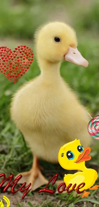 Cute yellow duckling with love decorations.