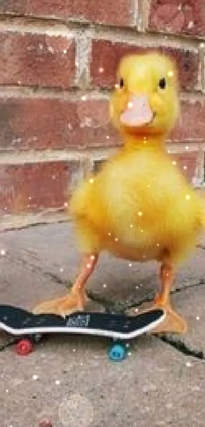 A cute yellow duckling on a skateboard in front of a brick wall.