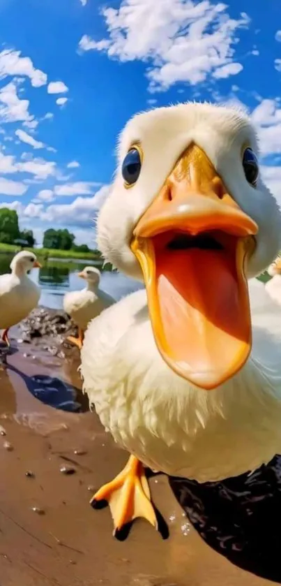 Cute ducks near a lake with a beautiful sky.