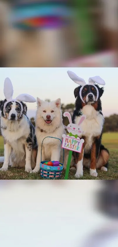 Three dogs with Easter bunny ears sitting on grass with a festive basket.