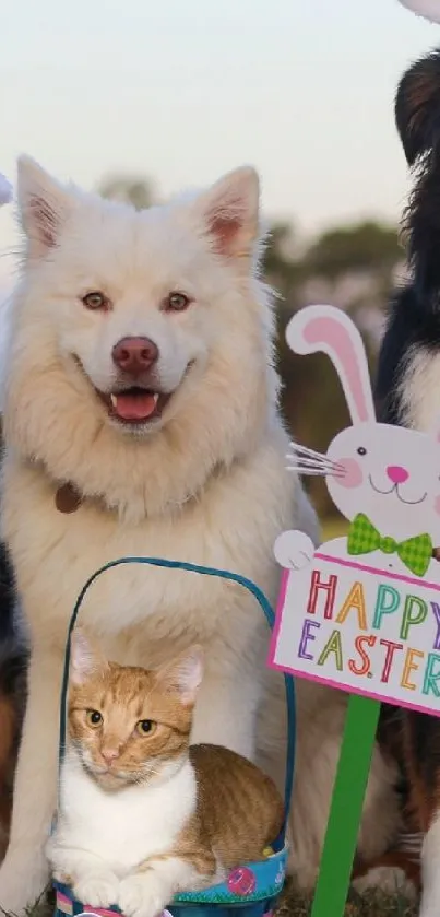 Adorable pets in bunny ears with Easter basket on a grassy field.