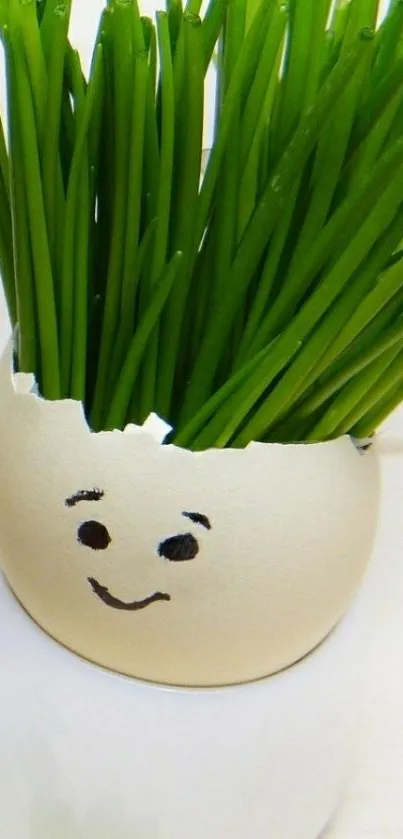 Smiling eggshell planter with green grass.