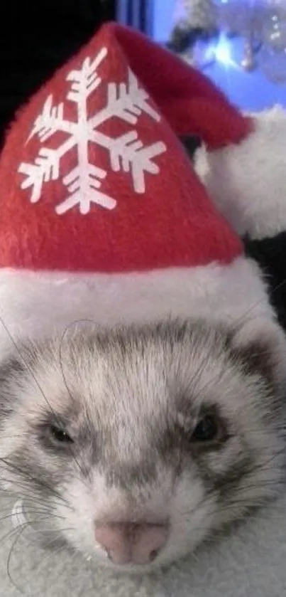 Cute ferret in a Santa hat with a festive backdrop.