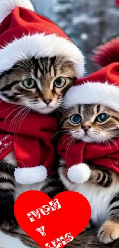 Two kittens in Santa hats with a red festive background.