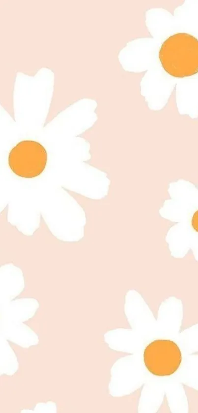 Cute mobile wallpaper with white daisies on a peach background.