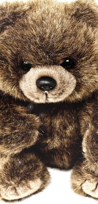 Cute fluffy brown teddy bear on a white background.