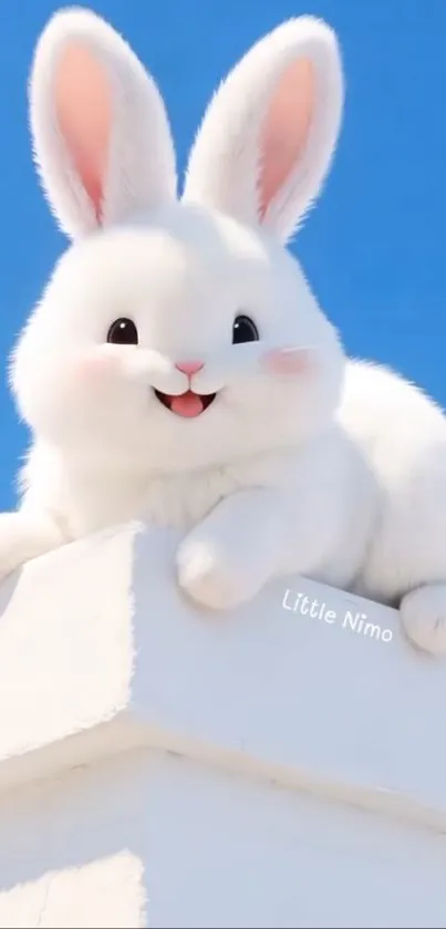 Adorable fluffy bunny sitting on a white surface with a blue sky backdrop.
