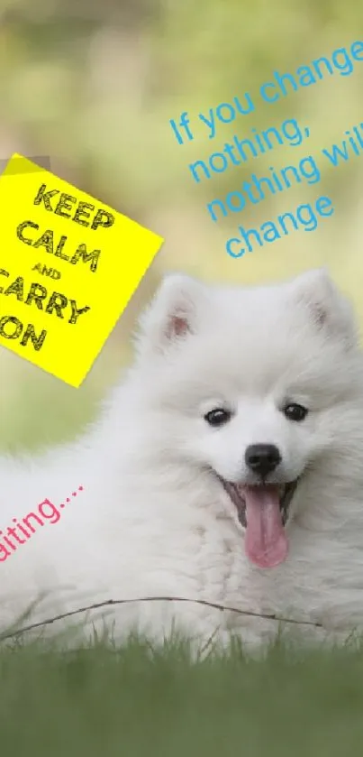 Adorable fluffy dog relaxing on green grass with motivational quotes.