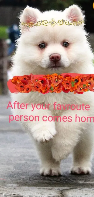Adorable fluffy dog running excitedly outdoors.