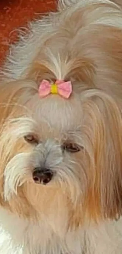 Fluffy dog with pink bow looking adorable.