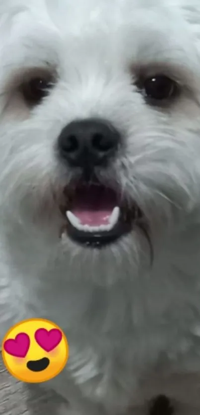 Adorable fluffy dog with heart emoji.