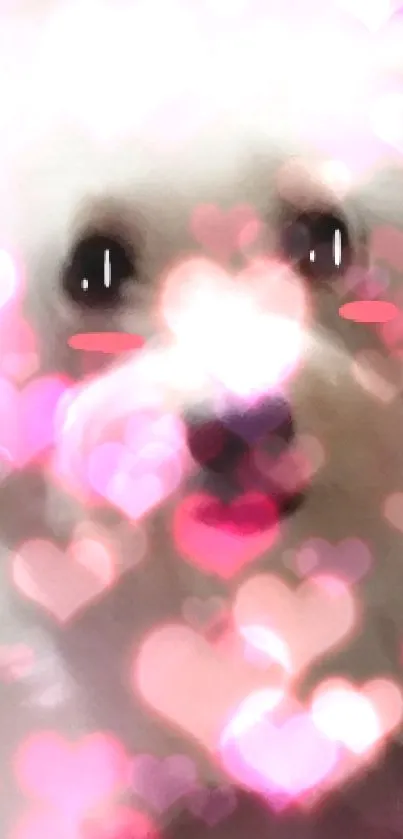 Fluffy dog with pink heart bokeh background.