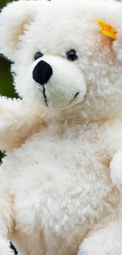 Cute fluffy teddy bear with a soft texture on a mobile wallpaper.