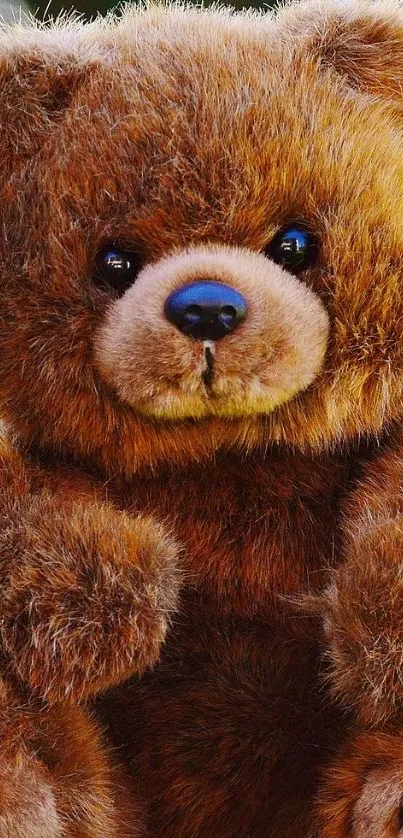 Fluffy brown teddy bear mobile wallpaper.