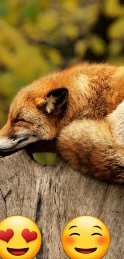 A cute fox sleeping on a log with emojis below.