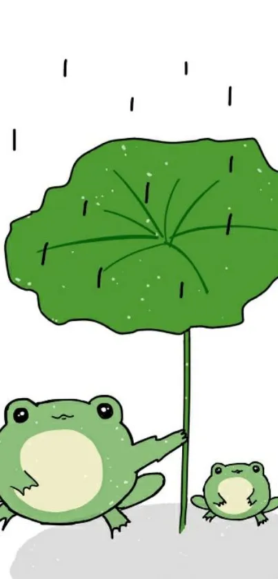 Two cute cartoon frogs under a green leaf in the rain.