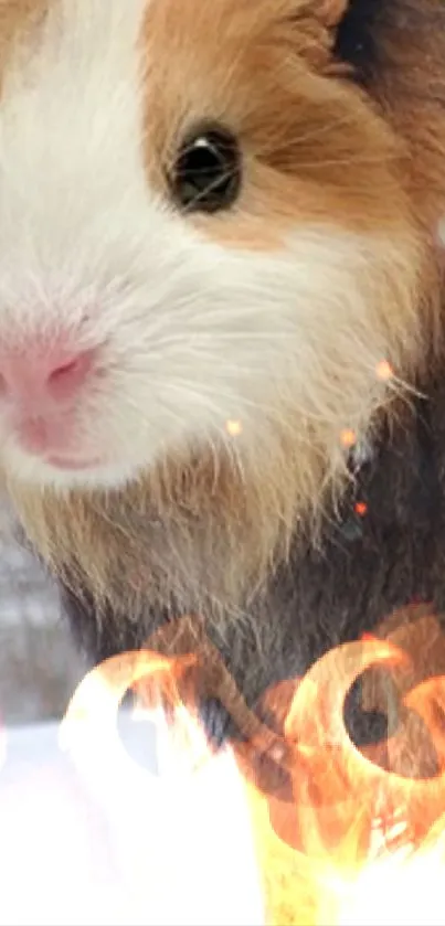 Cute guinea pig with fiery background on mobile wallpaper.