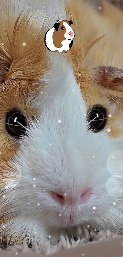 Cute guinea pig with cartoon hat and sparkles.