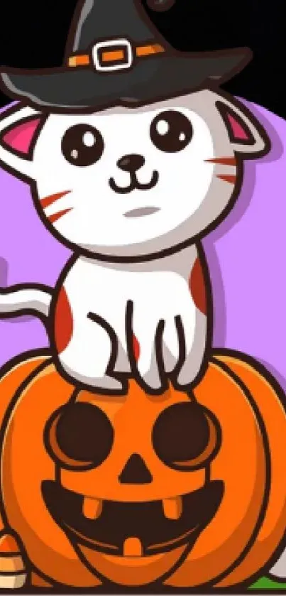 Cartoon cat with witch hat on pumpkin and ghost, Halloween theme wallpaper.