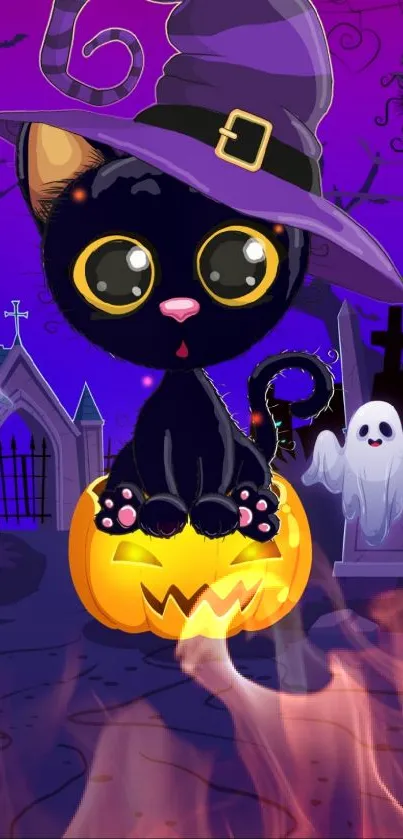 Cute black cat with witch hat on pumpkin, Halloween theme.