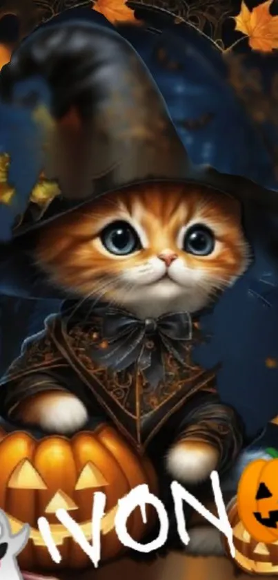 Adorable kitten in witch costume with pumpkins.