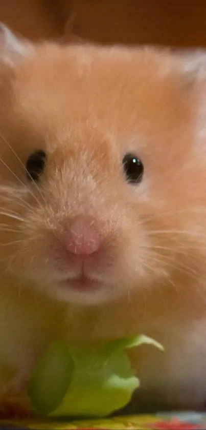 Close-up image of a fluffy brown hamster with delicate facial features.