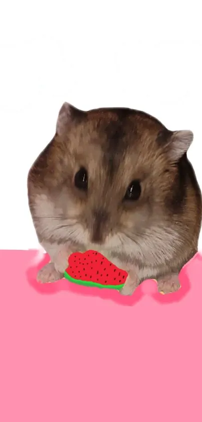 Cute hamster with watermelon on pink background wallpaper.