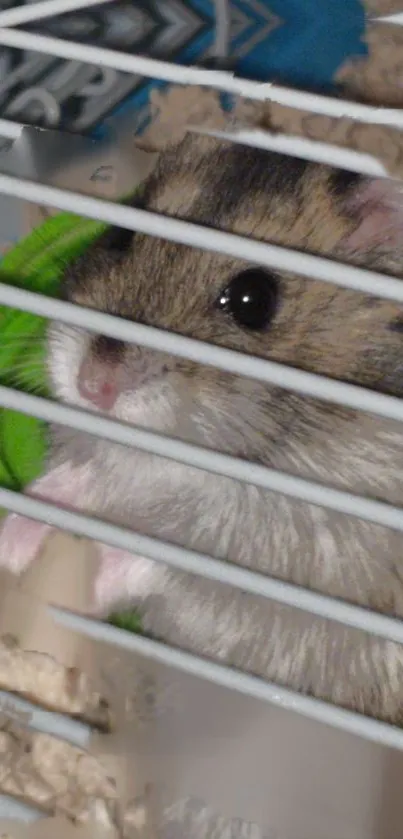 Adorable hamster looks out from its cage, perfect for mobile wallpaper.