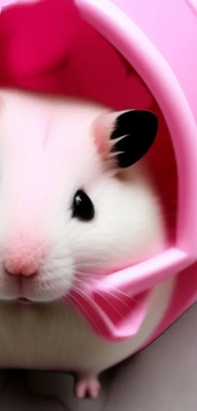 Cute hamster resting in a pink habitat.