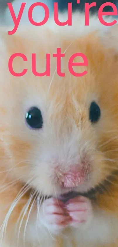 Cute golden-brown hamster with text 'you're cute' on mobile wallpaper.