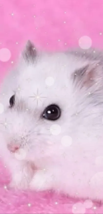 Cute white hamster on a fluffy pink background.