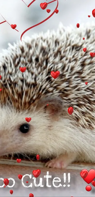 Adorable hedgehog with red hearts and 'Too Cute' text as wallpaper.