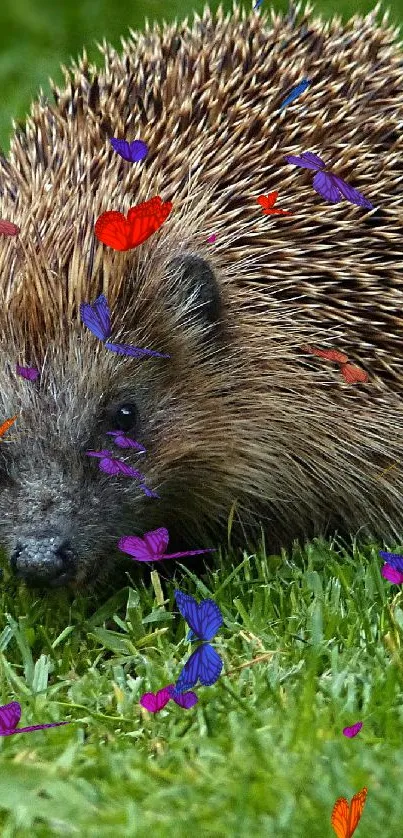 Adorable hedgehog on lush green grass wallpaper.