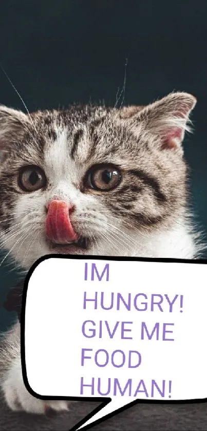 Hungry cat with speech bubble saying 'Give me food!' on dark background.