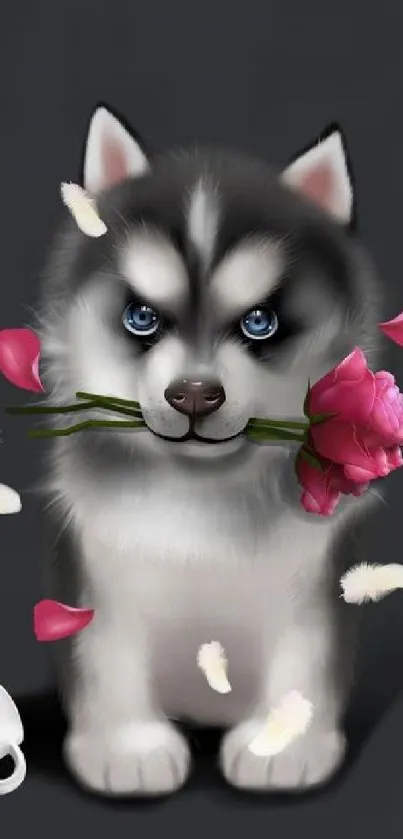 Charming husky puppy with pink rose on dark background.