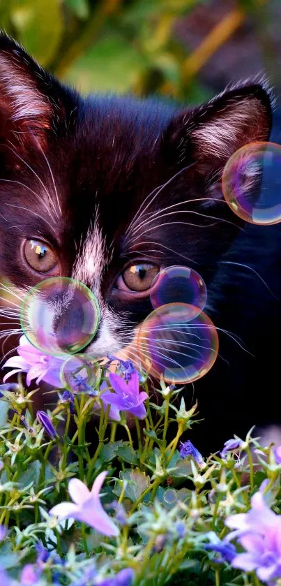 Black and white kitten sniffs purple flowers surrounded by lush greenery.