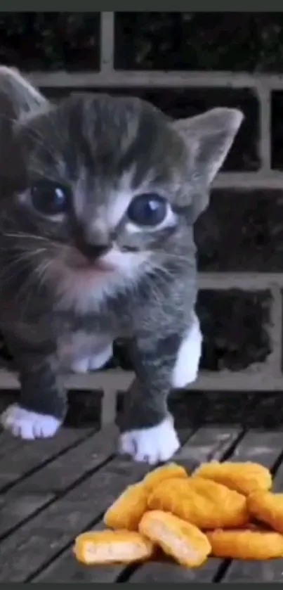 Adorable kitten beside chicken nuggets on brick wall background.