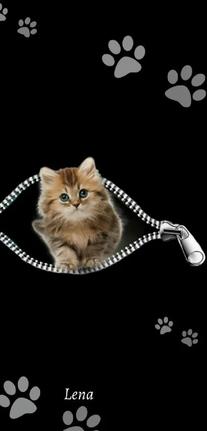 Cute kitten peeking from zipper on black wallpaper with paw prints.