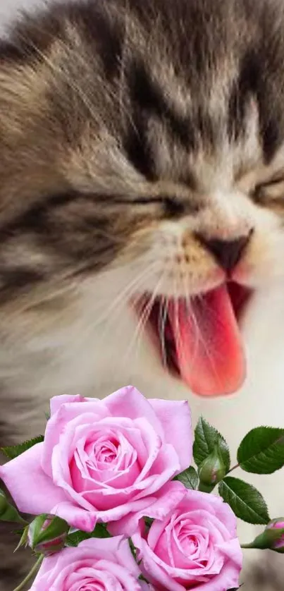 Yawning kitten with pink roses in mobile wallpaper.