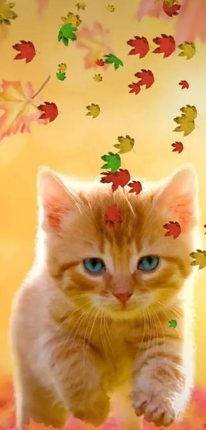 Adorable kitten in autumn leaves background.