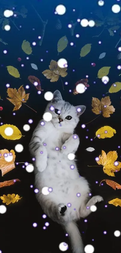 Kitten amidst autumn leaves and bubbles on a dark background.