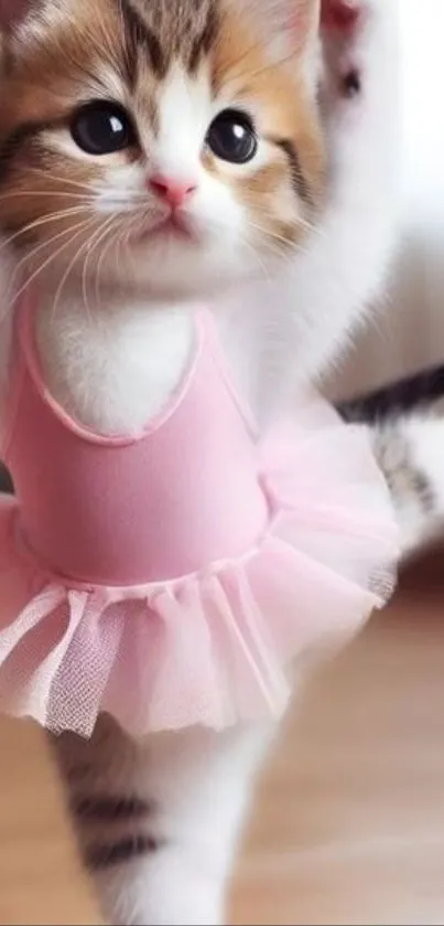 Adorable kitten wearing pink ballet outfit.