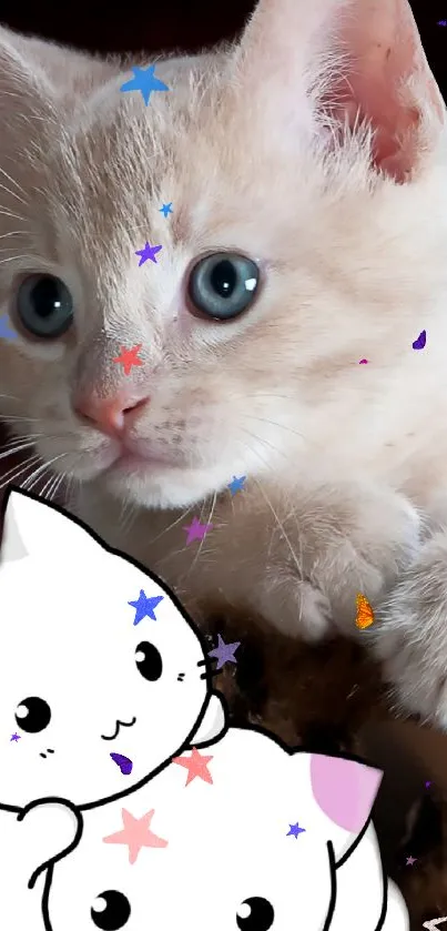 Playful kitten with cartoon stars wallpaper.