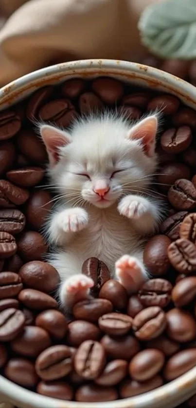 A cute white kitten sleeping on coffee beans in a cup.