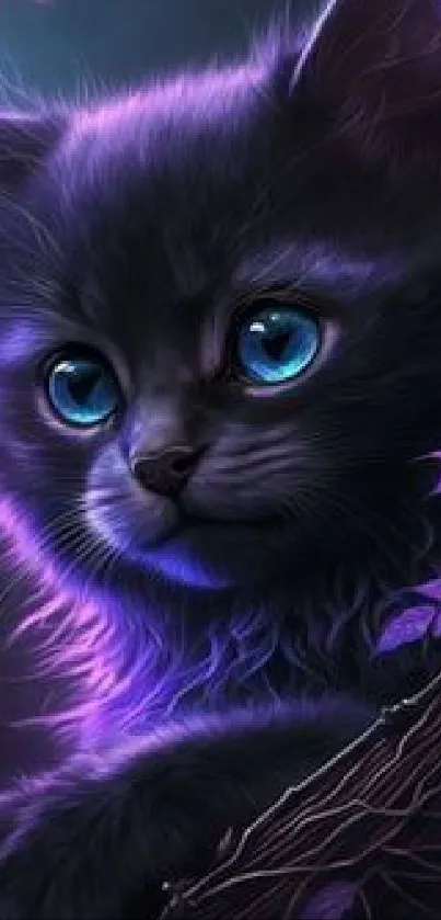 Cute black kitten with blue eyes in a purple glow, fantasy art wallpaper.